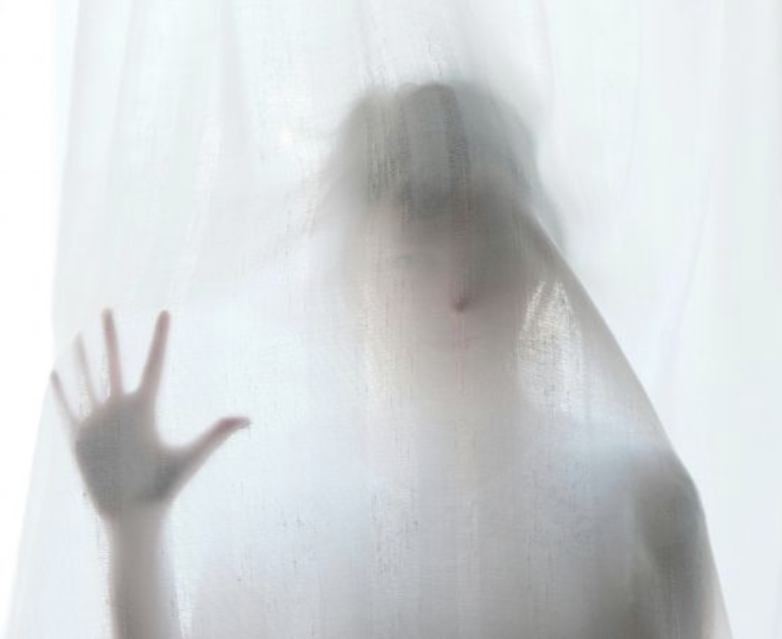 profile header image