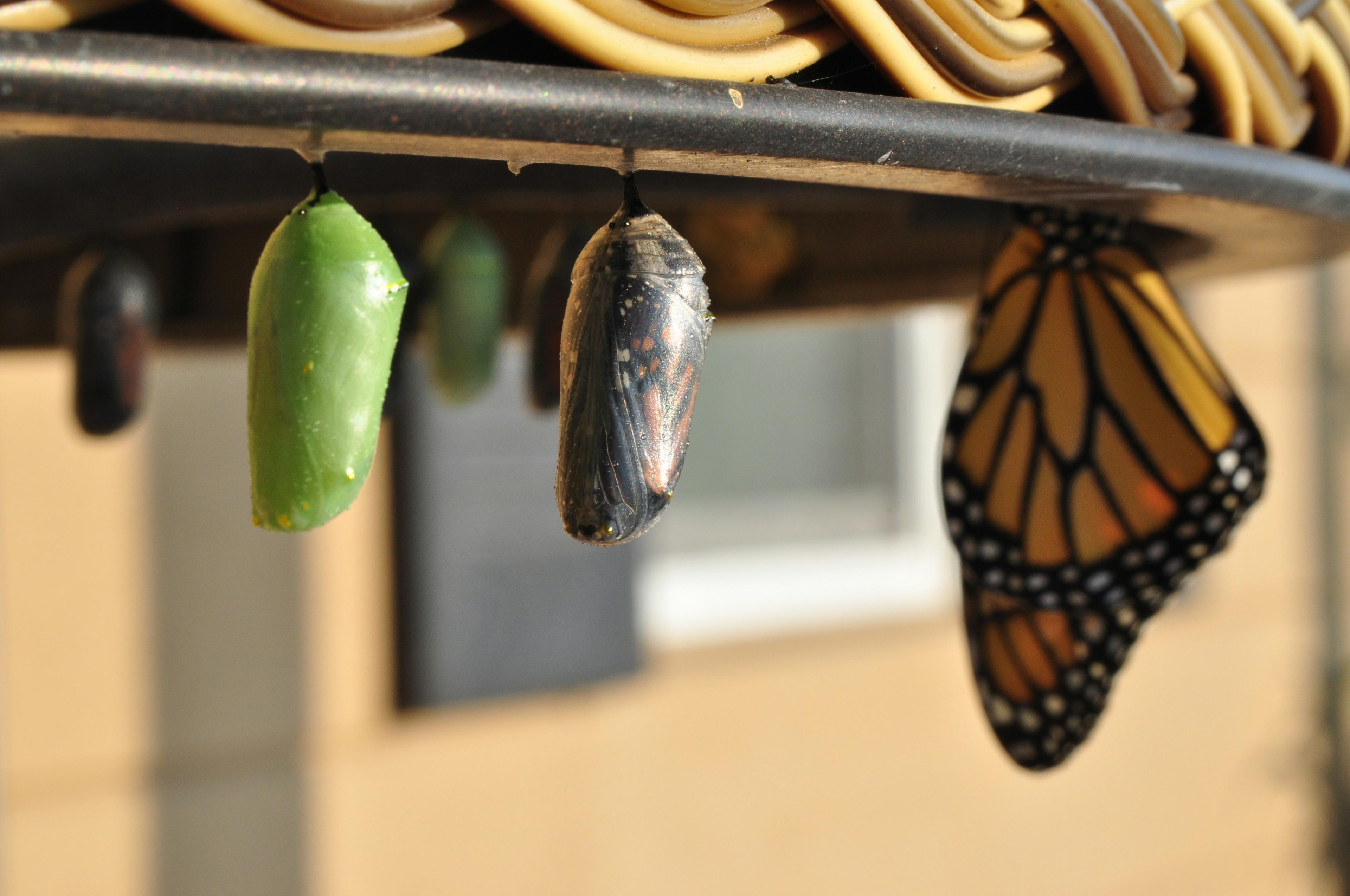 Becoming Someone New On the Other Side of Change