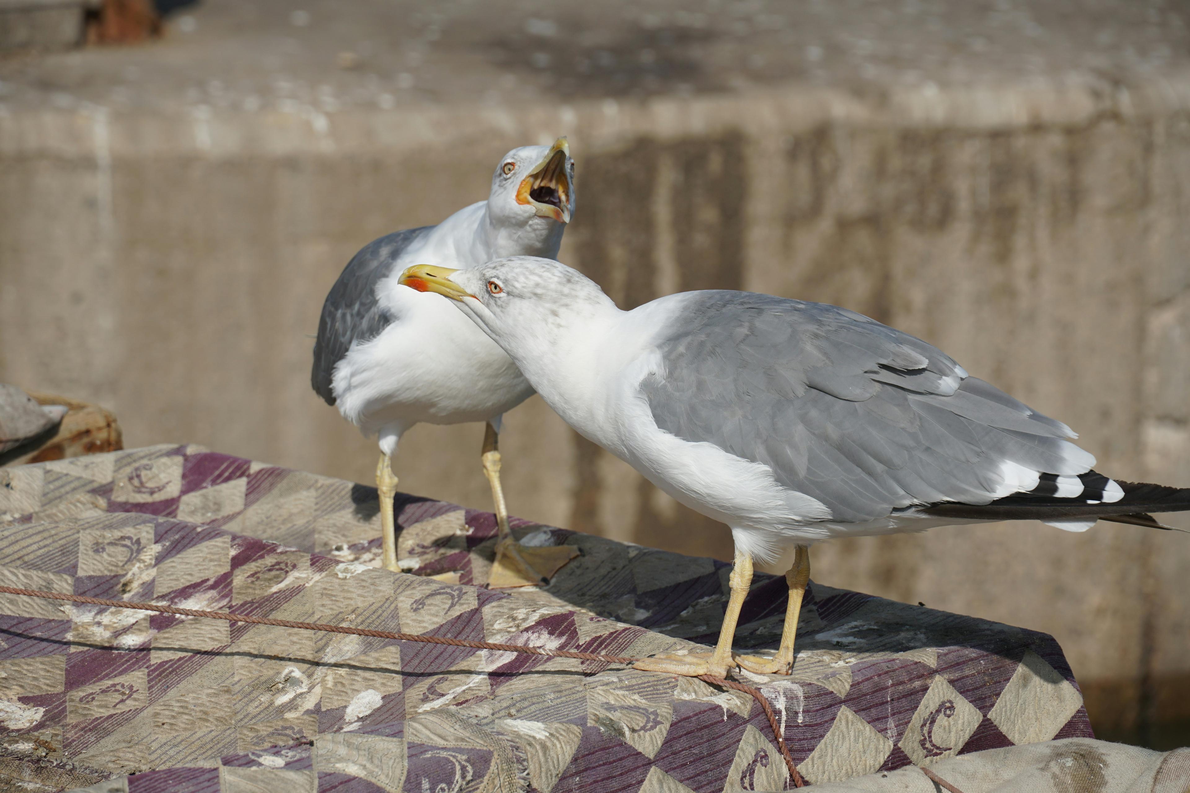 5 Conflict-Avoiding Ways to Communicate With Your Partner